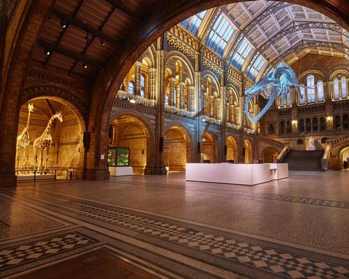 Environmental and exhibition design practice Casson Mann was selected to reinvigorate the iconic Hintze Hall / NHM