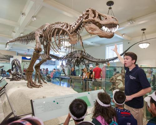 Interns at American Museum of Natural History create visitor tours for summer training scheme