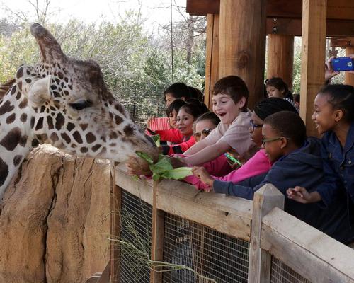 The zoo is inviting evacuees for a fun day out free of charge / Dallas Zoo