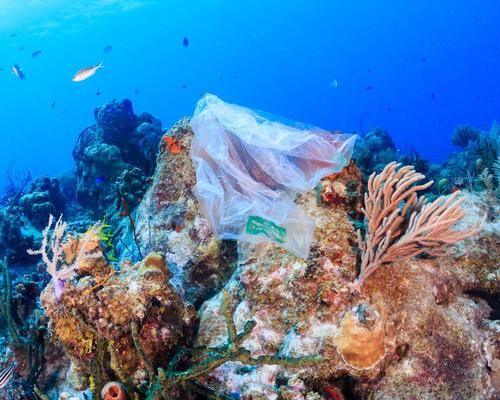 The MoU will focus on marine plastic pollution, protecting coral reefs and reducing demand for wildlife products worldwide / Shutterstock.com