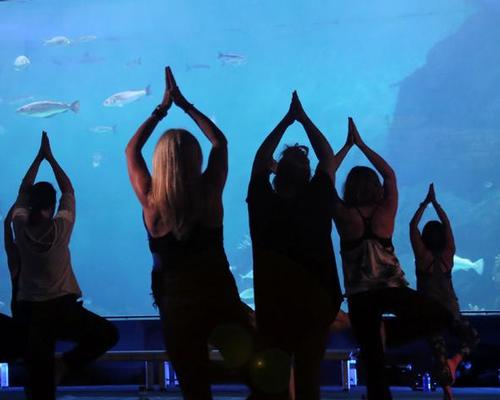 Yoga, pilates and body balance classes will take place each month / National Marine Aquarium