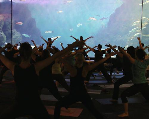Research has found that looking at aquarium displays leads to reductions in blood pressure and heart rate / National Marine Aquarium