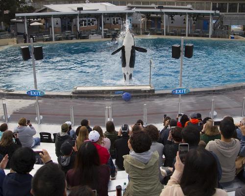 SeaWorld's orcas have caused great controversy for the company, which has suffered financially / TNS/SIPA USA/PA Images