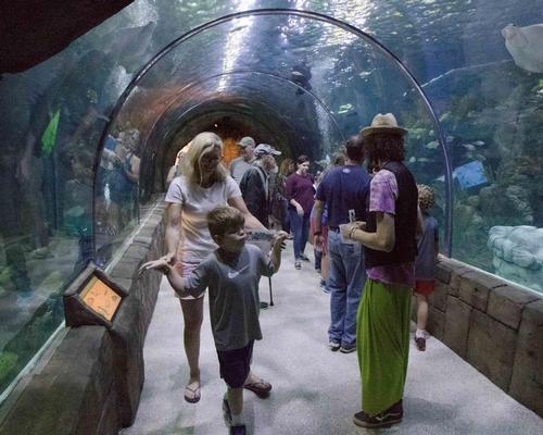 New Orleans aquarium becomes first in US to be recognised as 'sensory inclusive'