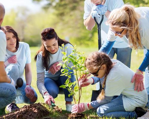 Green Spa Network partners with WeForest for 1 million tree goal 