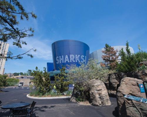 New York Aquarium celebrates launch of US$158m shark exhibit six years on from Sandy devastation
