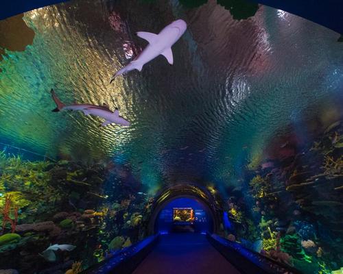 The new exhibit features more than 115 species of marine life, including 18 species of sharks and rays