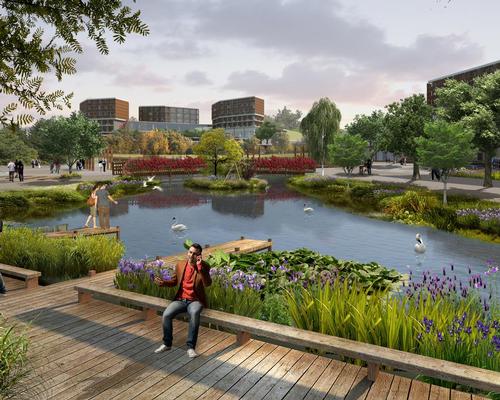 A 1200sq m biological pond uses plants with fibrous roots and reeds to keep the water clean / Project Design Group