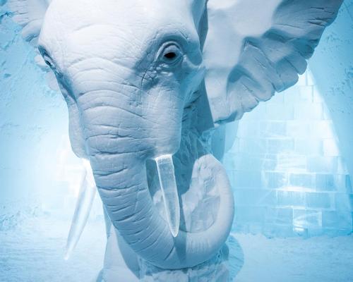  Elephant in the Room by AnnaSofia Mååg / Asaf Kliger