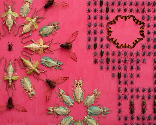 American artist decorates Renwick Gallery with 5,000 insects