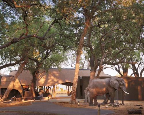 Twelve guest pavilions are inspired by the huge ant nests which are a prominent feature of the local landscape / Belmond Eagle Island Lodge Botswana