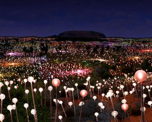 50,000 'flowers' were planted close to Uluru / Mark Pickthall/Ayers Rock Resort