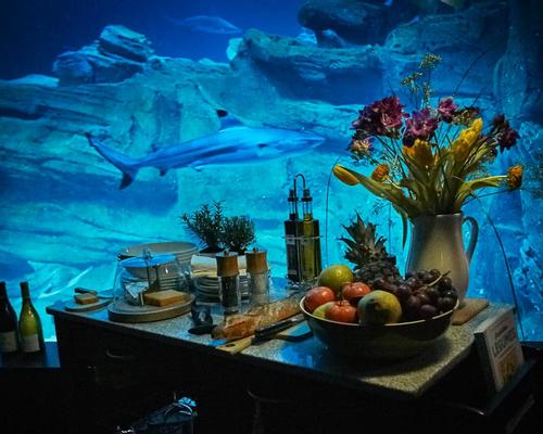Guests will dine under the water, surrounded by the sharks / Airbnb