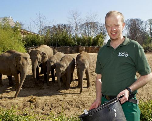 Dublin Zoo zookeeper Brendan Walsh has used night surveillance to study elephants' sleep patterns 