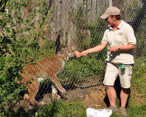 The advanced training programme will host sessions led by scientists, veterinarians and other animal care professionals / Shutterstock.com