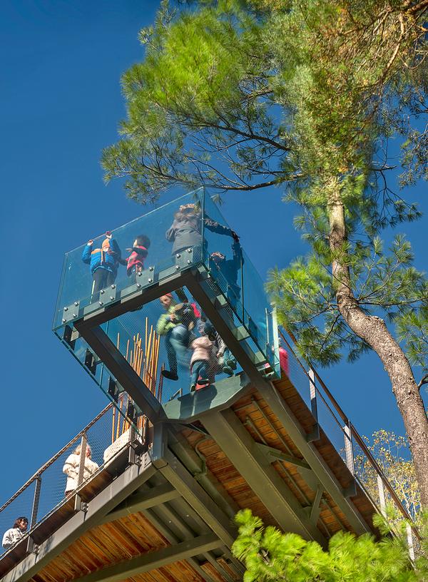 The orchard view platform has a glass floor and railings at 40ft-high
