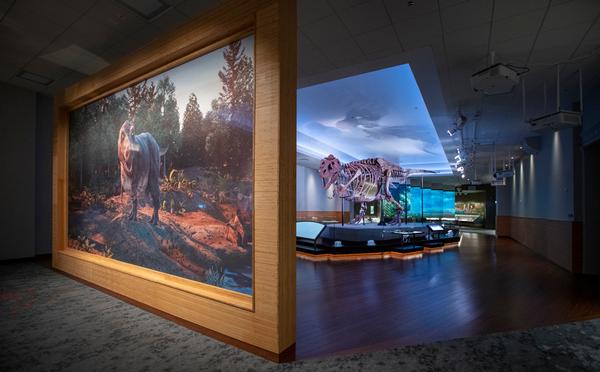 Geffen’s latest offering brings the world’s largest, best preserved and most complete T-Rex to life at the Field Museum in Chicago