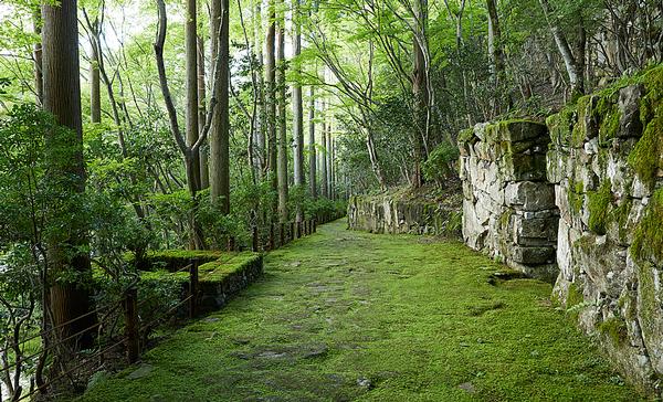 “We’ll be sharing the secrets of our enchanting garden,” says Doronin