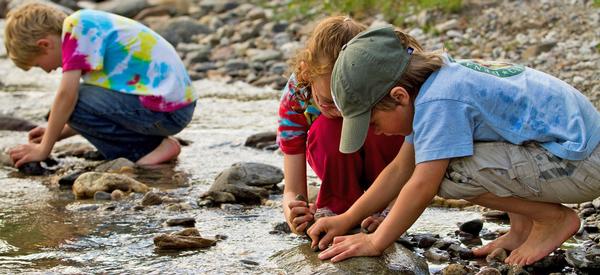 WAZA’s Nature Connect programme inspires families to take action to conserve our natural world
