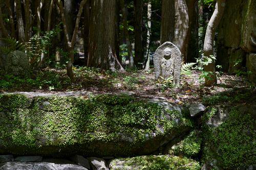 Moss-covered stone pathways laid down by the creator of the garden, some edged in massive cut-stone borders, traverse the site