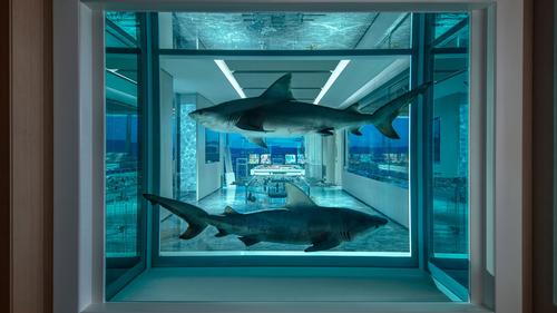 The decor features a smorgasbord of taxidermy animals, sculptures, and paintings. / Courtesy of the Palms Casino Resort