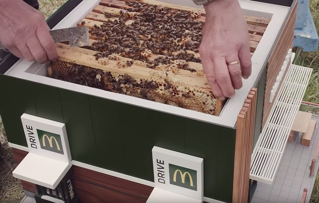 The full working beehive was auctioned for US$10,000 on World Bee Day / McDonalds The full working beehive was auctioned for US$10,000 on World Bee Day / McDonalds