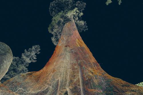 Digital art collective Marshmallow Laser Feast also has temporary exhibits at Odunpazari, including <i>Treehugger</i>, a VR 'digital fossil' representing rare and endangered trees