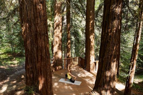 In addition to these themed retreats, guests will have the ability to select from daily fitness classes, meditation sessions, nature walks, creative expression courses, wellness talks and more