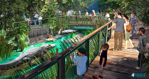 Alligators are among the animals that will be housed at the aquarium