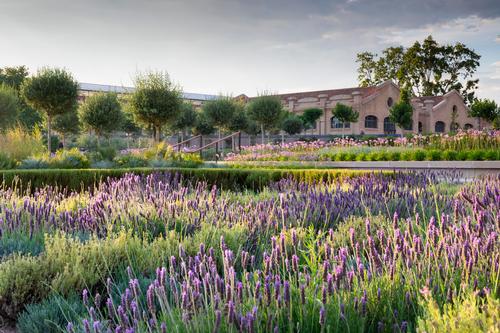 The park also employs a sustainable drainage strategy / Richard Bloom
