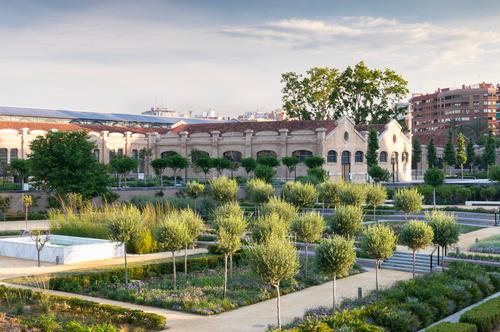 The park includes 1000 trees, 85,000 bushes and 70 herb species / Richard Bloom