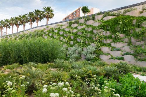 Any non-invasive plants used have been adapted to the Mediterranean climate / Richard Bloom