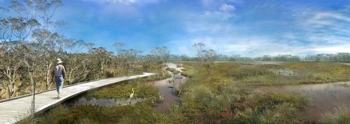A network of boardwalks and trails will provide places for people to walk / Oxley Creek Transformation