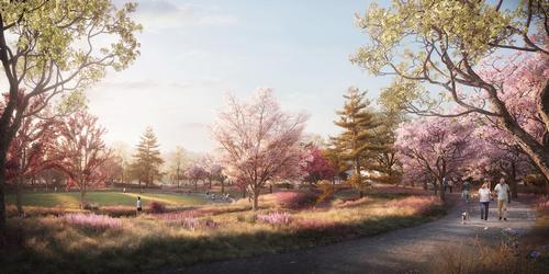 The landscape of Jackson Park’s historic Women’s Garden will be restored with plantings, pathways, and seating / The Obama Presidential Center