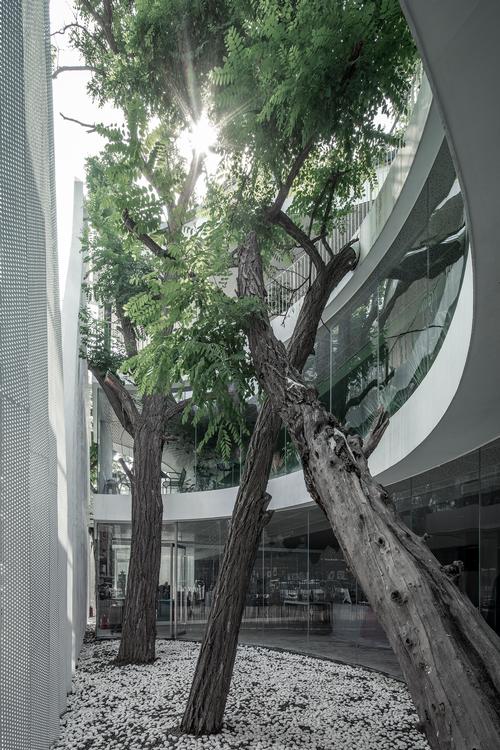 Throughout the building, greenery contrasts with starker concrete elements / Jin Weiqi
