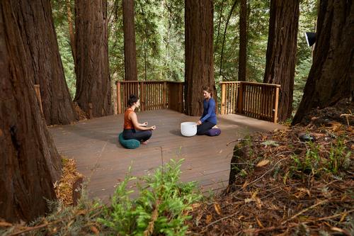 Canyon Ranch Wellness Retreat – Woodside offers two Signature Retreat programs, as well as a series of Guest Speaker Retreats led by a curated selection of expert guests / Canyon Ranch