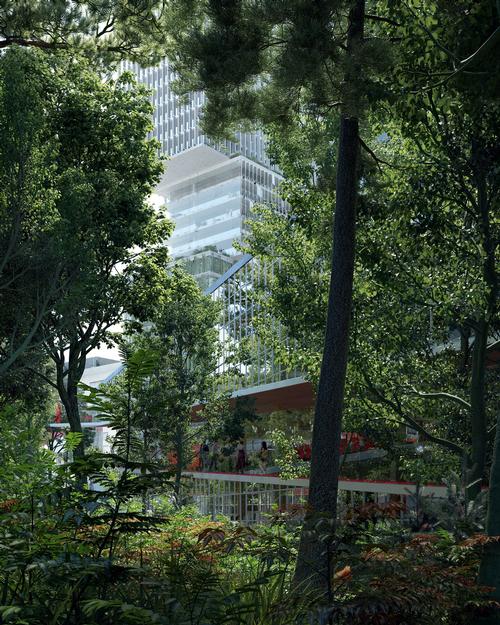 A five-storey co-working building will be built to wrap around the forest / Proloog