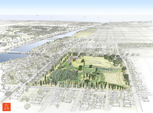 Native plants will be used throughout the site to absorb water and remove pollutants / Waggonner & Ball
