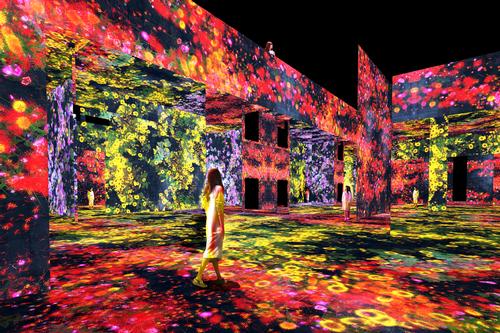 Mountain of Flowers and People: Lost, Immersed and Reborn, 2020, Interactive Digital Installation, Endless, sound: Hideaki Takahashi / teamLab