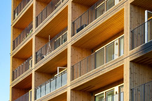 Timber is also said to have a more positive effect on the indoor climate and the inhabitants than concrete / Nikolaj Jakobsen