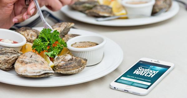 Monterey Bay Aquarium’s Seafood Watch programme raises public awareness about sustainable seafood choices