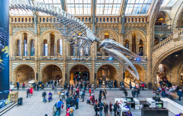 London’s Natural History Museum enjoyed a record year in attendance / PHOTO: SHUTTERSTOCK / By BBA Photography