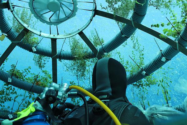 OceanReef’s Nemo’s Garden underwater farming concept 