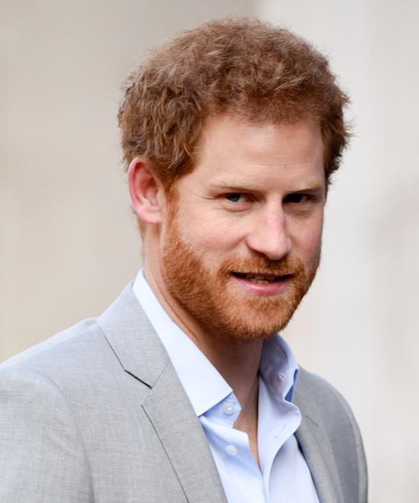 Prince Harry spent 10 years working in the Armed Forces before turning his attention to charitable causes / shutterstock