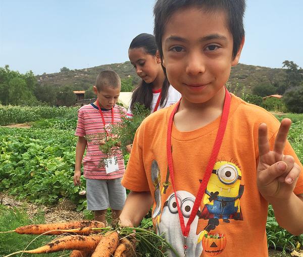 Many initiatives at Rancho La Puerta already support multiple SDGs