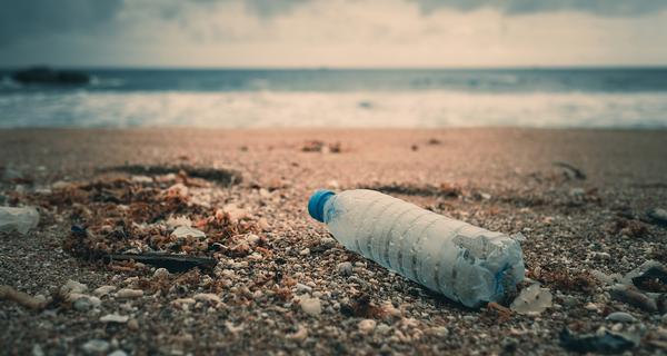 Up to 8 million tonnes of plastic is dumped into the sea every year / LeQuangNhut/shutterstock