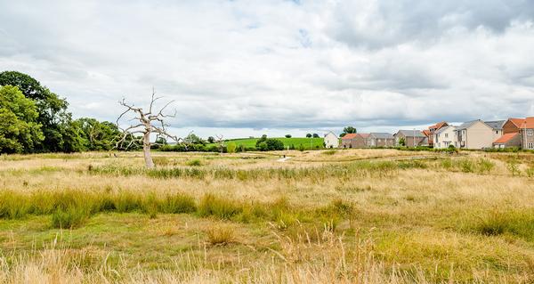 Cranbrook in Devon is one of the 10 Healthy New Town sites