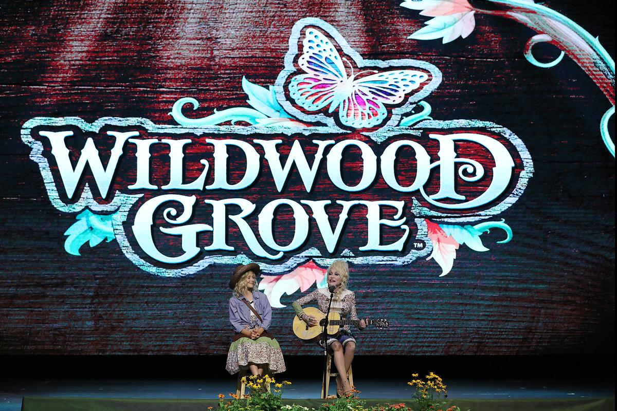 Country singer Dolly Parton's latest vision for her Dollywood theme park has been brought to life Country singer Dolly Parton's latest vision for her Dollywood theme park has been brought to life