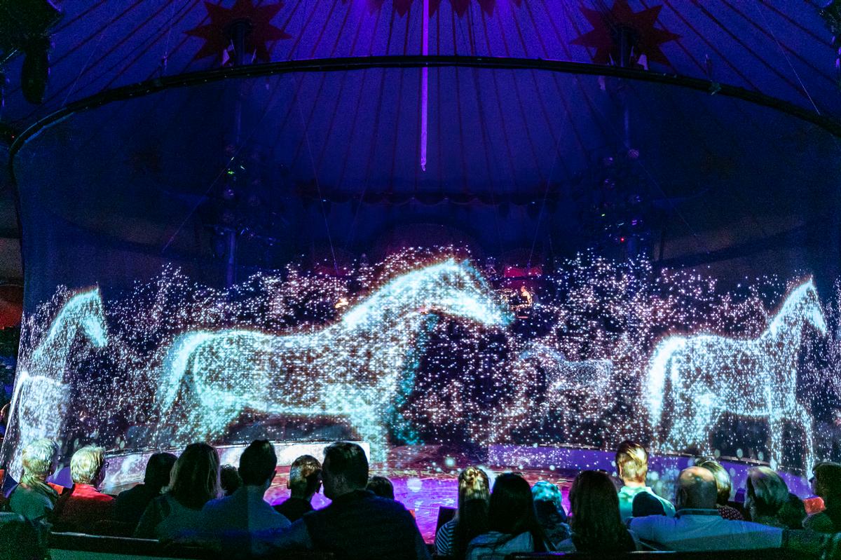 The 'stardust' horses required a million particles to be animated / Circus Roncalli