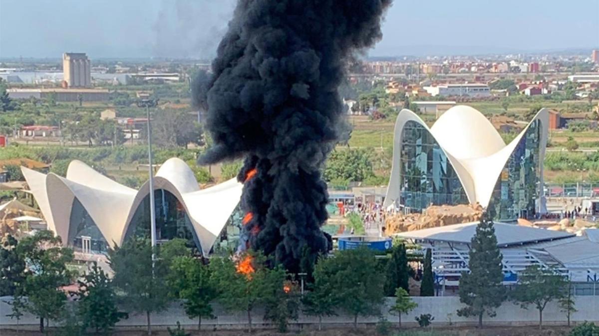 Pictures taken at the scene showed a thick column of black smoke rising from the aquarium Pictures taken at the scene showed a thick column of black smoke rising from the aquarium